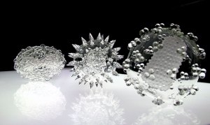 Luke-Jerram-glass_microbiology : vírus da varíola/gripe/HIV